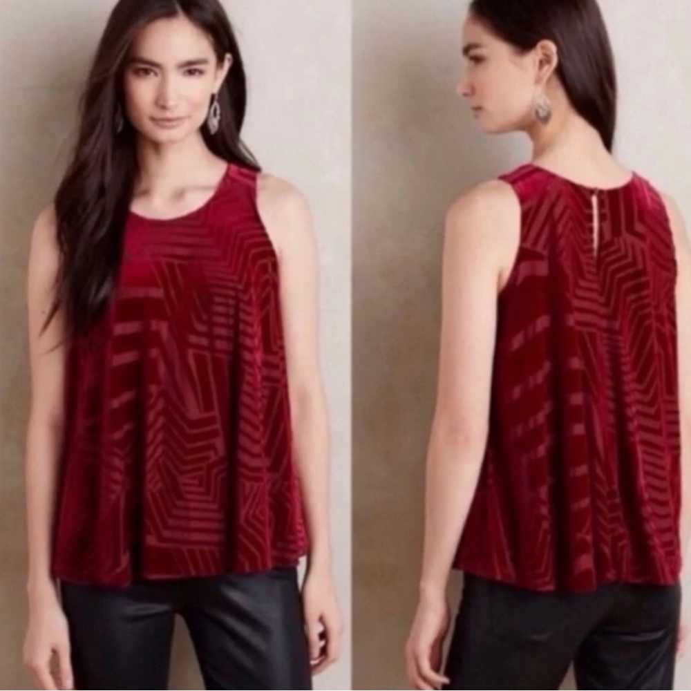 Sunday in Brooklyn Burgundy Velvet graphic Blose